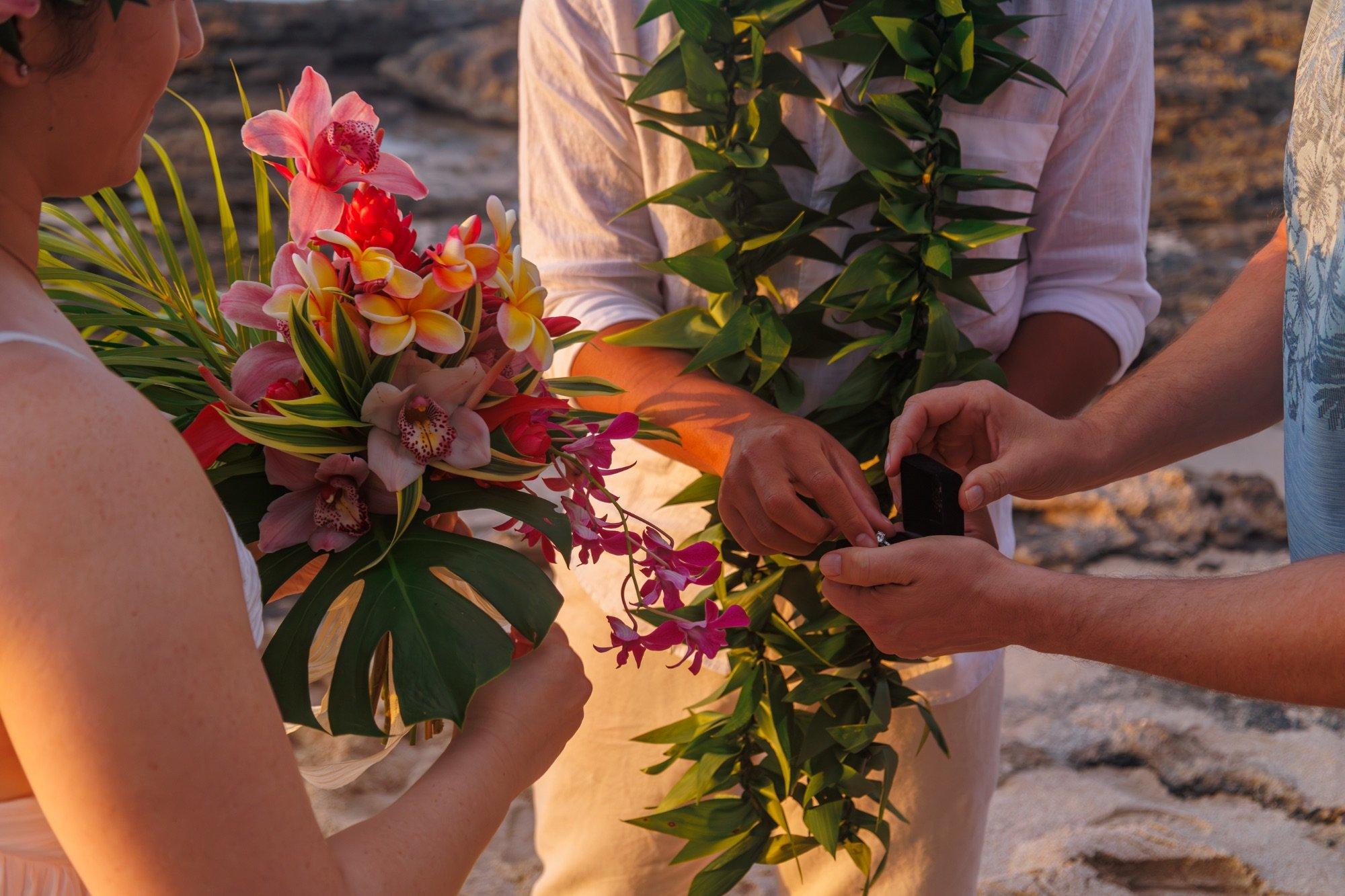 carousel-hero-element image-4